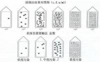 以色列Hy.giene 微生物快速顯色檢測板使用說明書