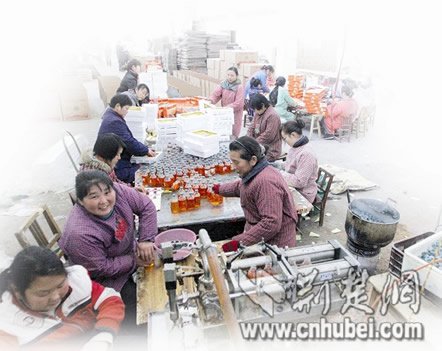 黑工廠用砂糖製燕窩蜂蜜 包裝成高檔飲品(圖)