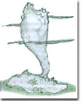 shwu21.jpeg (9369 bytes)